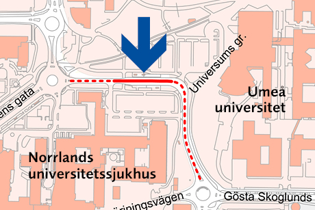 En kartbild över avstängningsområdet på Petrus Laestadius väg. 