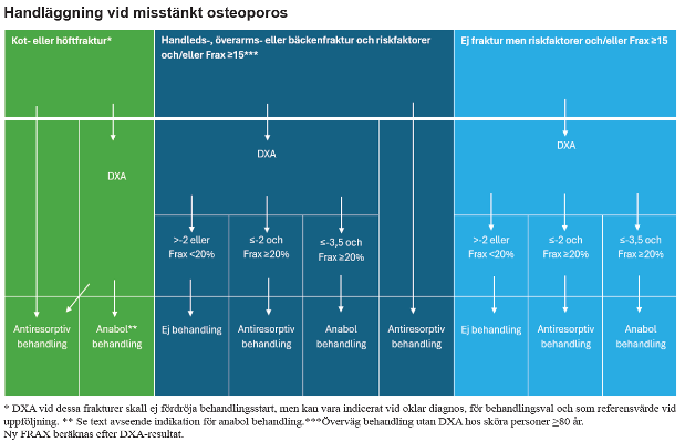 Handl&auml;ggning vid misst&auml;nkt osteoporos fl&ouml;desschema