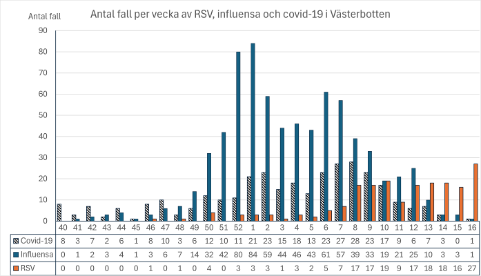 Bild smittl&auml;get vecka 16