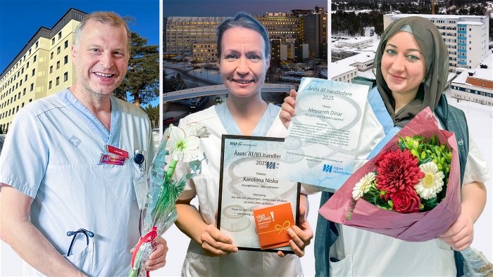 Fotomontage av årets AT-handledare 2025.