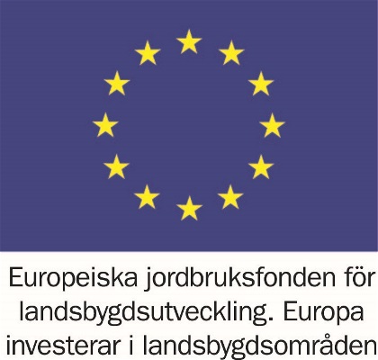 Logotype Europeiska regionala utvecklingsfonden 