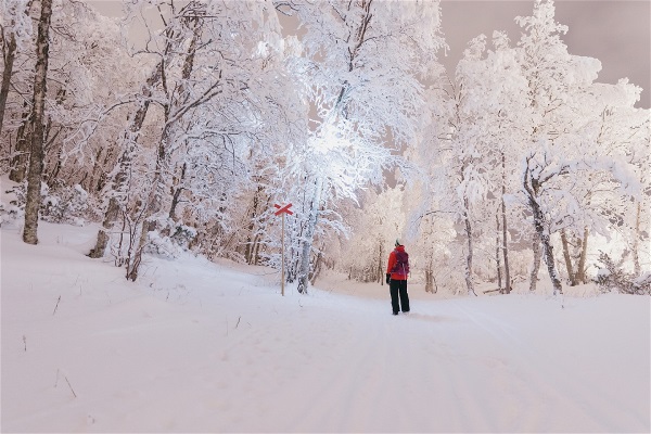 Vintervandring i Hemavan-Tärnaby